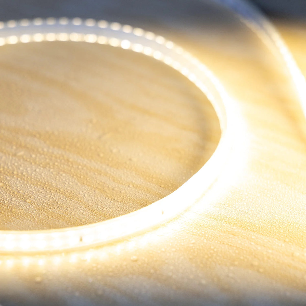 Close-up of a circular object with a textured surface