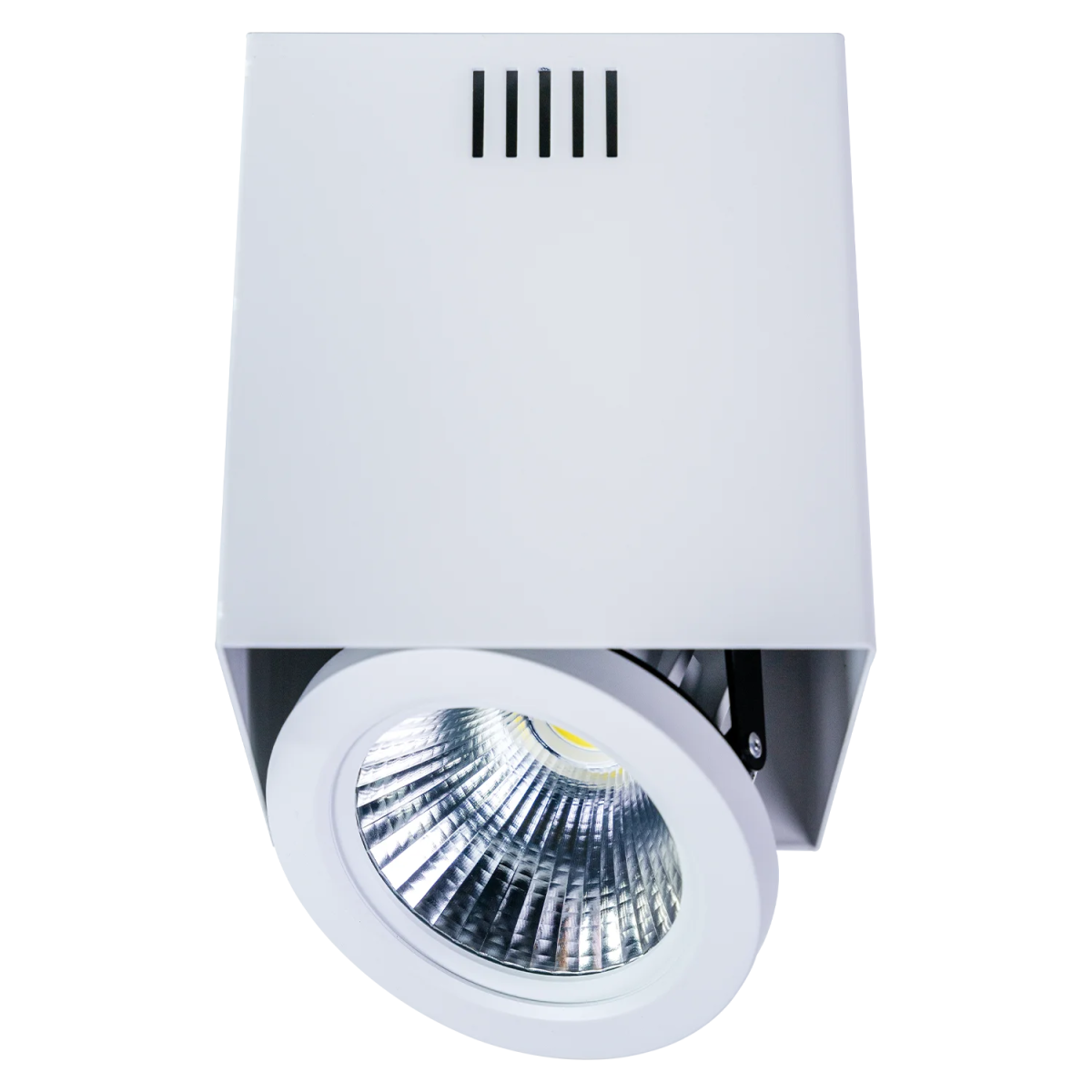 إطار إنارة سقف ظاهرة قابل للتدوير وقاعدة AR111 - تصميم عصري (C7655)