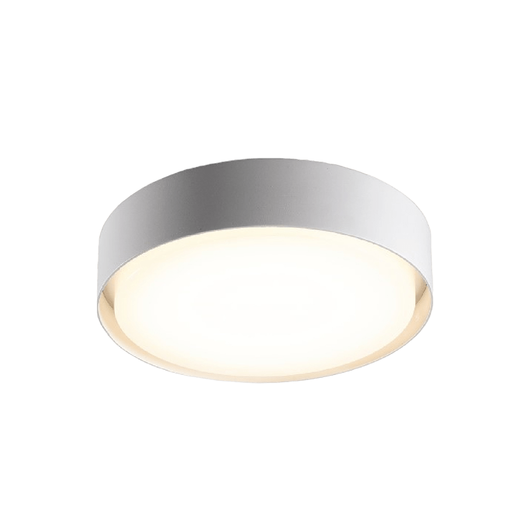 Ultralight Surface-Mounted Outdoor Light (H1331)