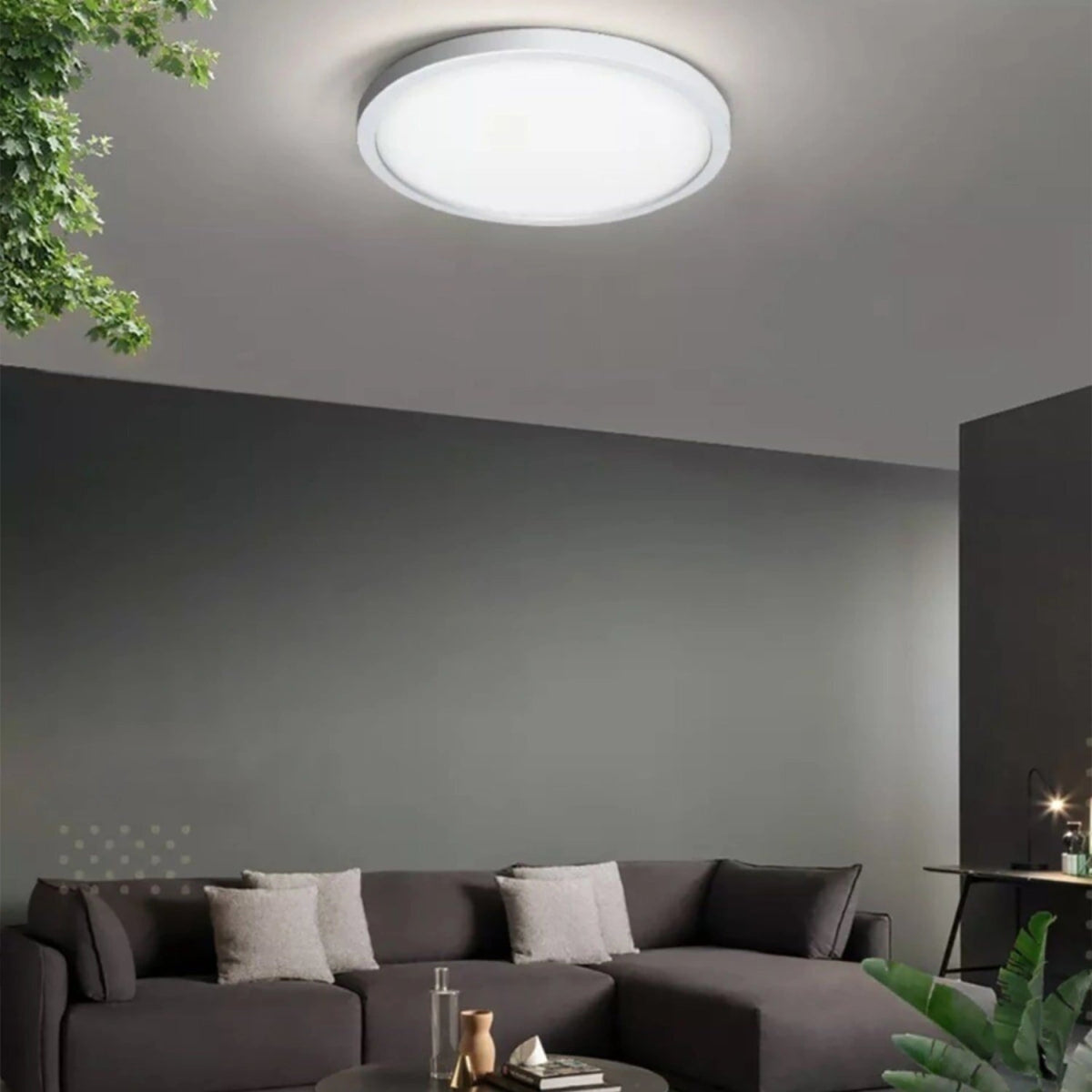 Ultralight Surface-Mounted Outdoor Light (H1331)