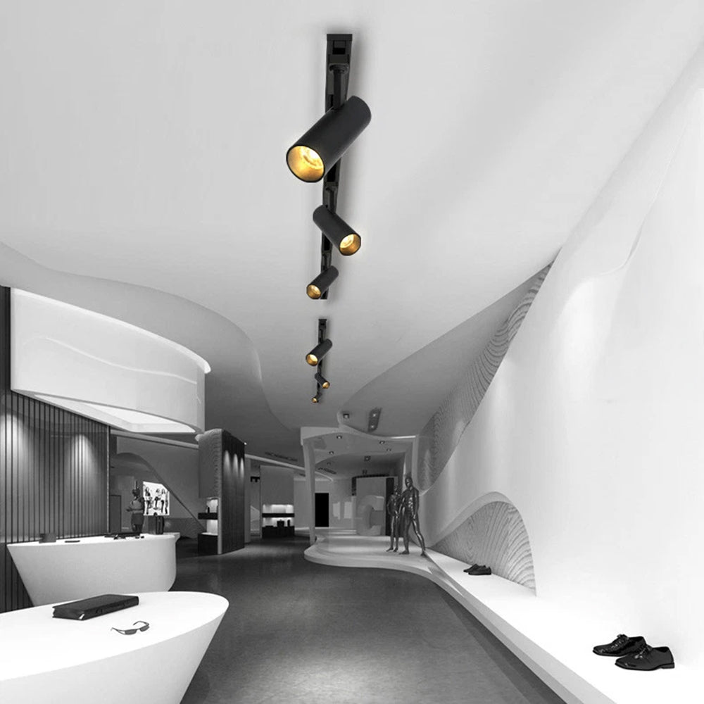 Modern interior design with ceiling lights in a stylish hallway.