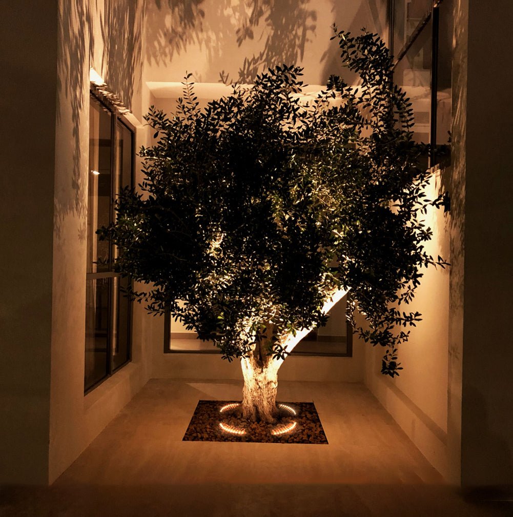 Buy Ultralight Curve Inground Light (DM2003) - Best  from Ultralight